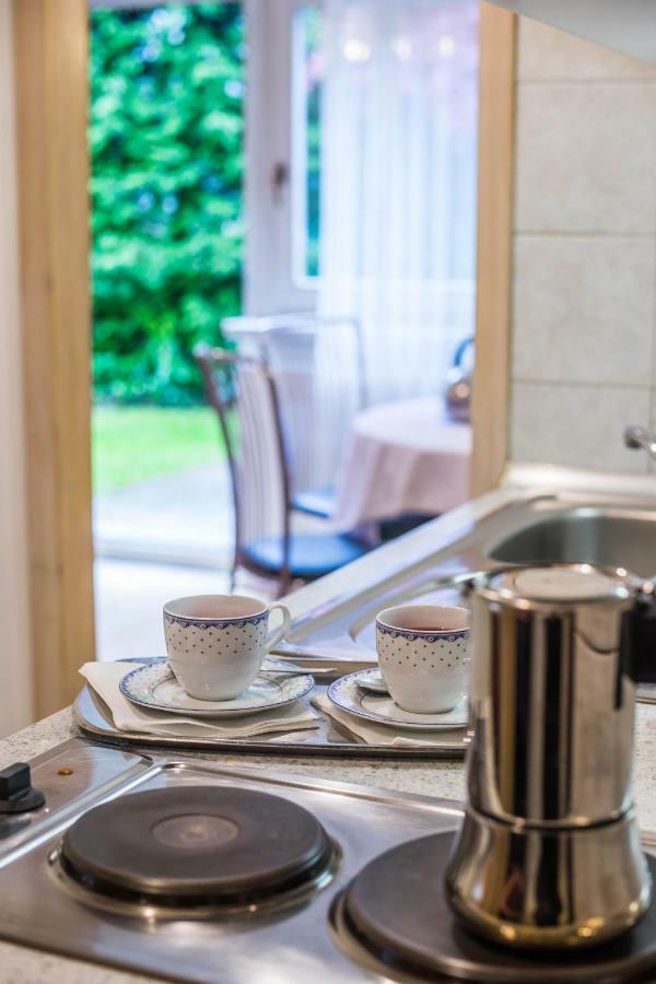 Apartments And Rooms Villa Vive Bled Zewnętrze zdjęcie
